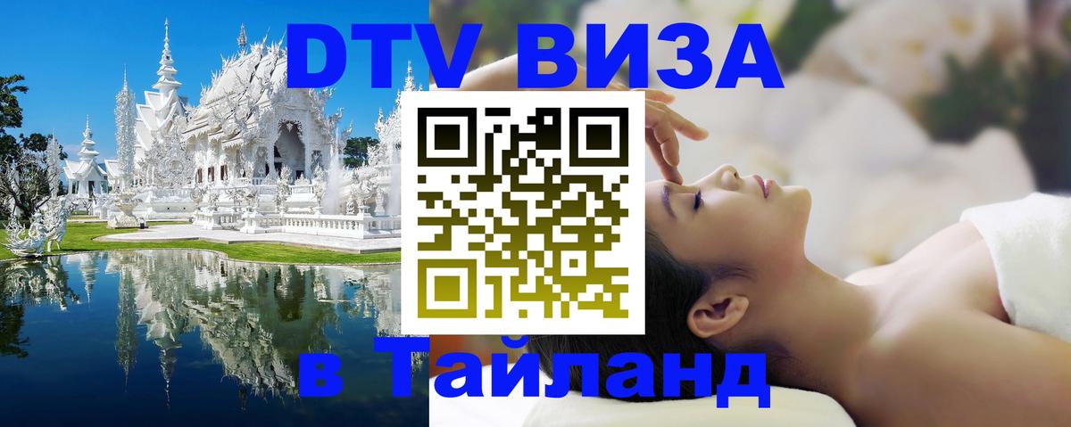 Оформление DTV визы под ключ: стоимость и тарифы, только загранпаспорт - Саранск  05.10.2025 